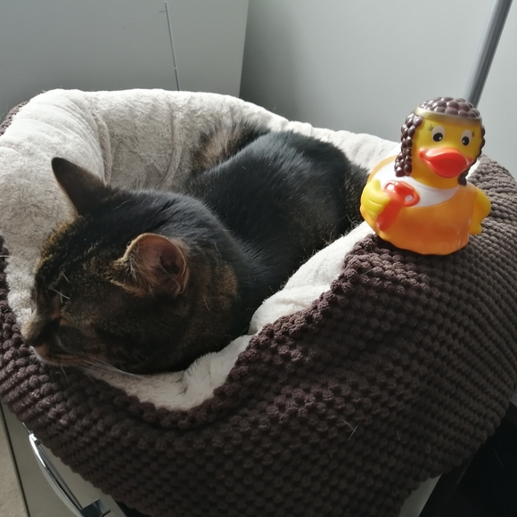 Meet your Posher, Marina - Picture 1 of 1